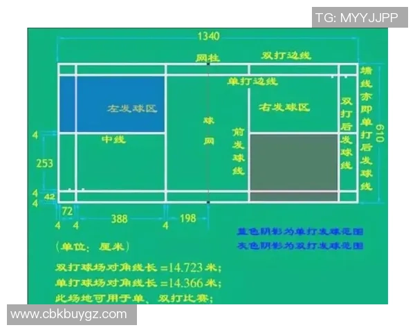 上海羽毛球队战术创新解析与转换打法的深度剖析