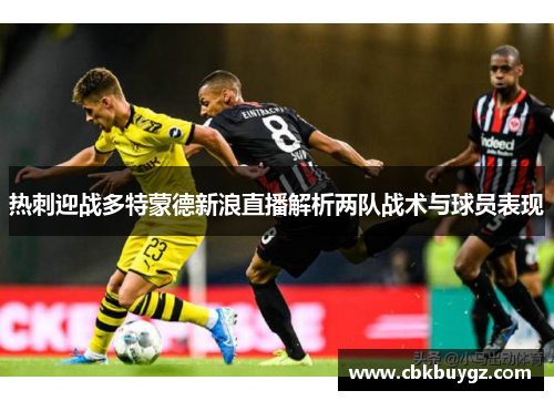 热刺迎战多特蒙德新浪直播解析两队战术与球员表现