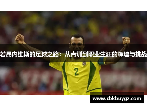 若昂内维斯的足球之路：从青训到职业生涯的辉煌与挑战